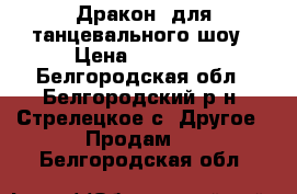 ,,Дракон“ для танцевального шоу › Цена ­ 15 000 - Белгородская обл., Белгородский р-н, Стрелецкое с. Другое » Продам   . Белгородская обл.